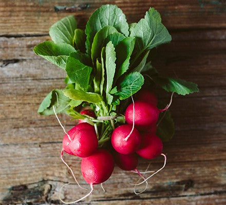 Radish Growing Guide