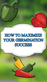 How To Maximize Seed Germination Rates