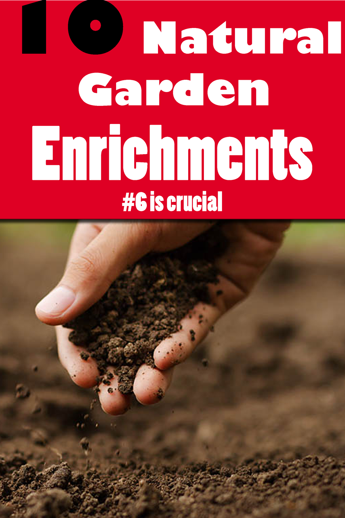 10 Natural Garden Enrichments