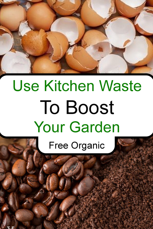 Using Kitchen Waste to Boost Your Garden