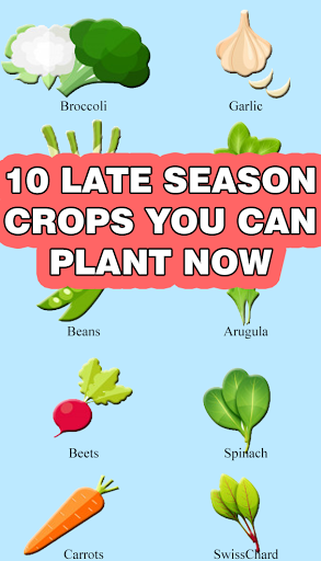 10 Late Season Crops You Can Plant in The Fall