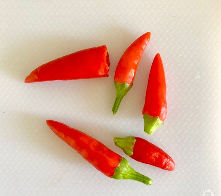 Basket Of Fire Hot Pepper Seeds - Organic