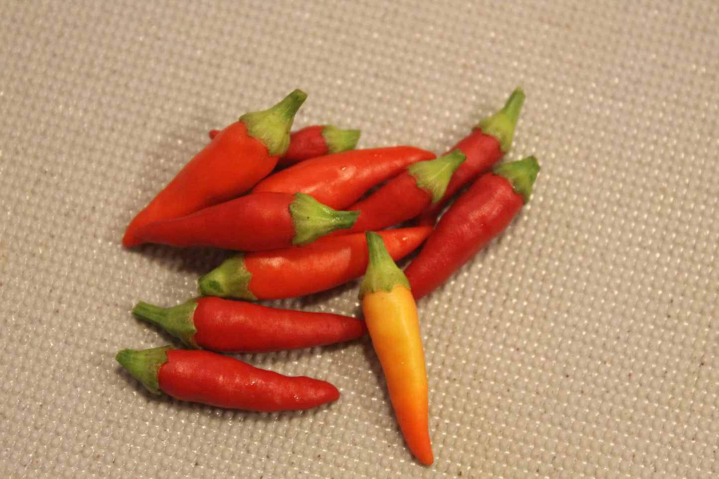 Basket Of Fire Hot Pepper Seeds - Organic