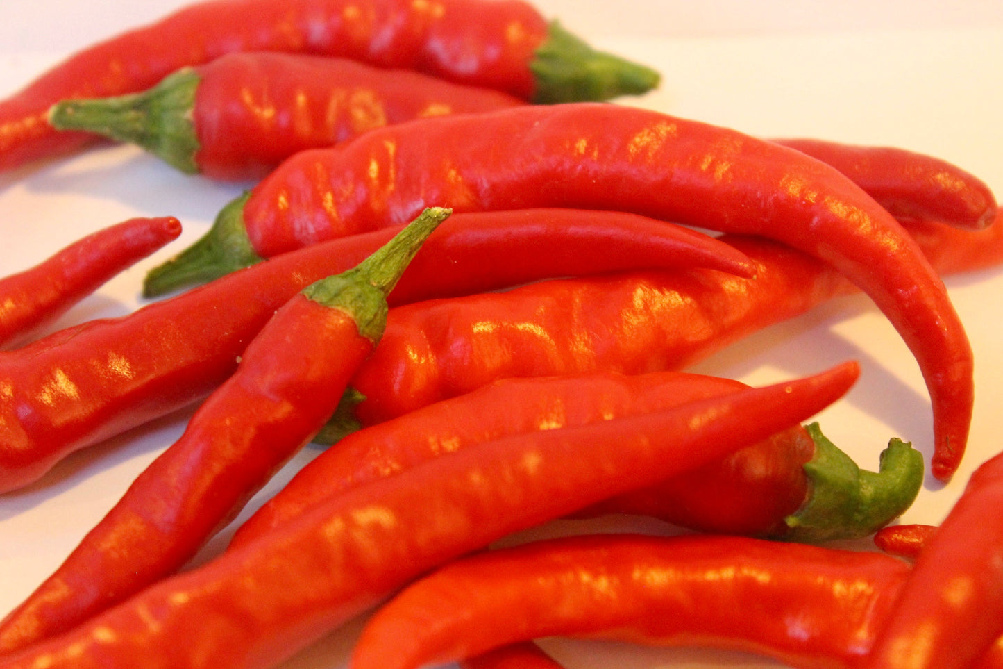 Hot Cayenne Seeds Pepper