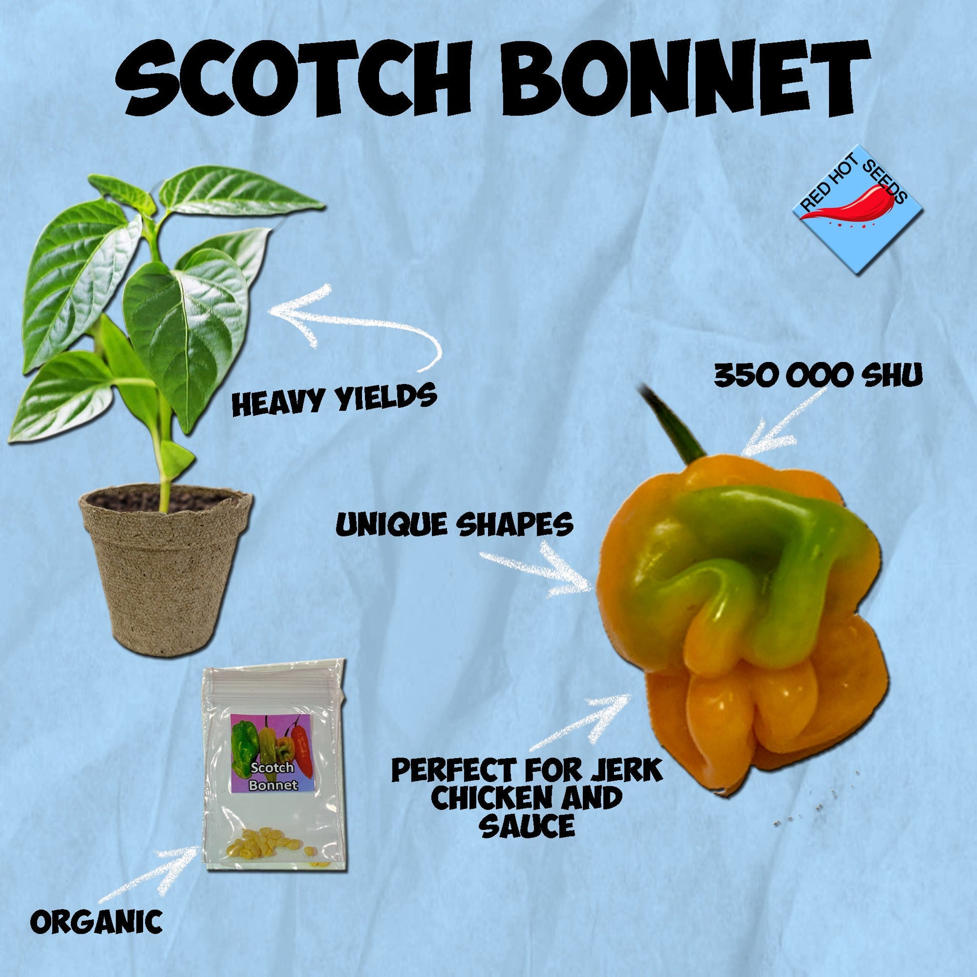 Scotch Bonnet Seeds Pepper