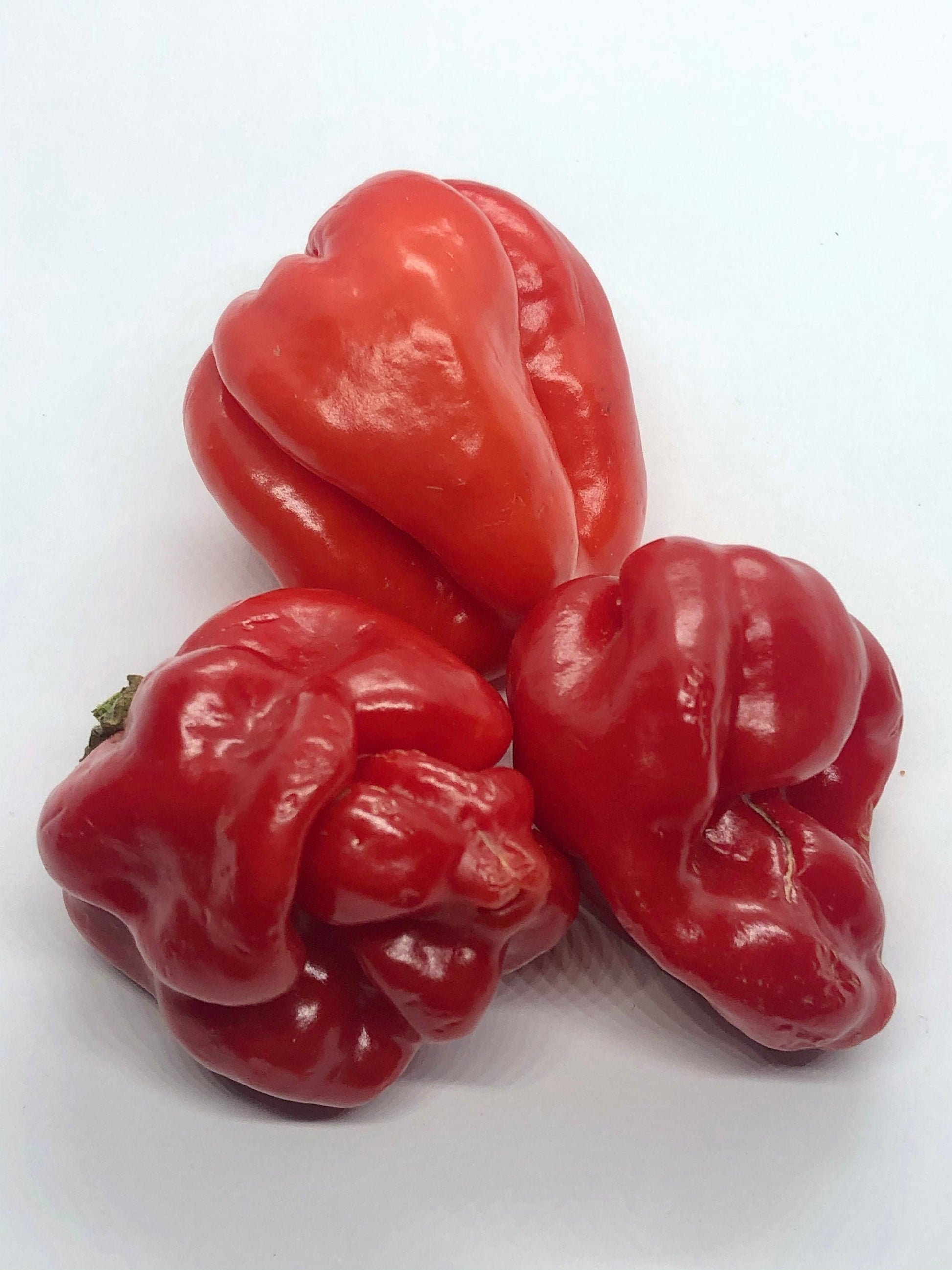 Scotch Bonnet Seeds Pepper