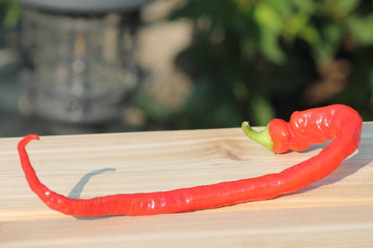 Long Corbaci Seeds Pepper