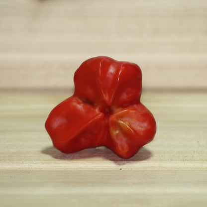 Red Mad Hatter Pepper Seeds , Organic