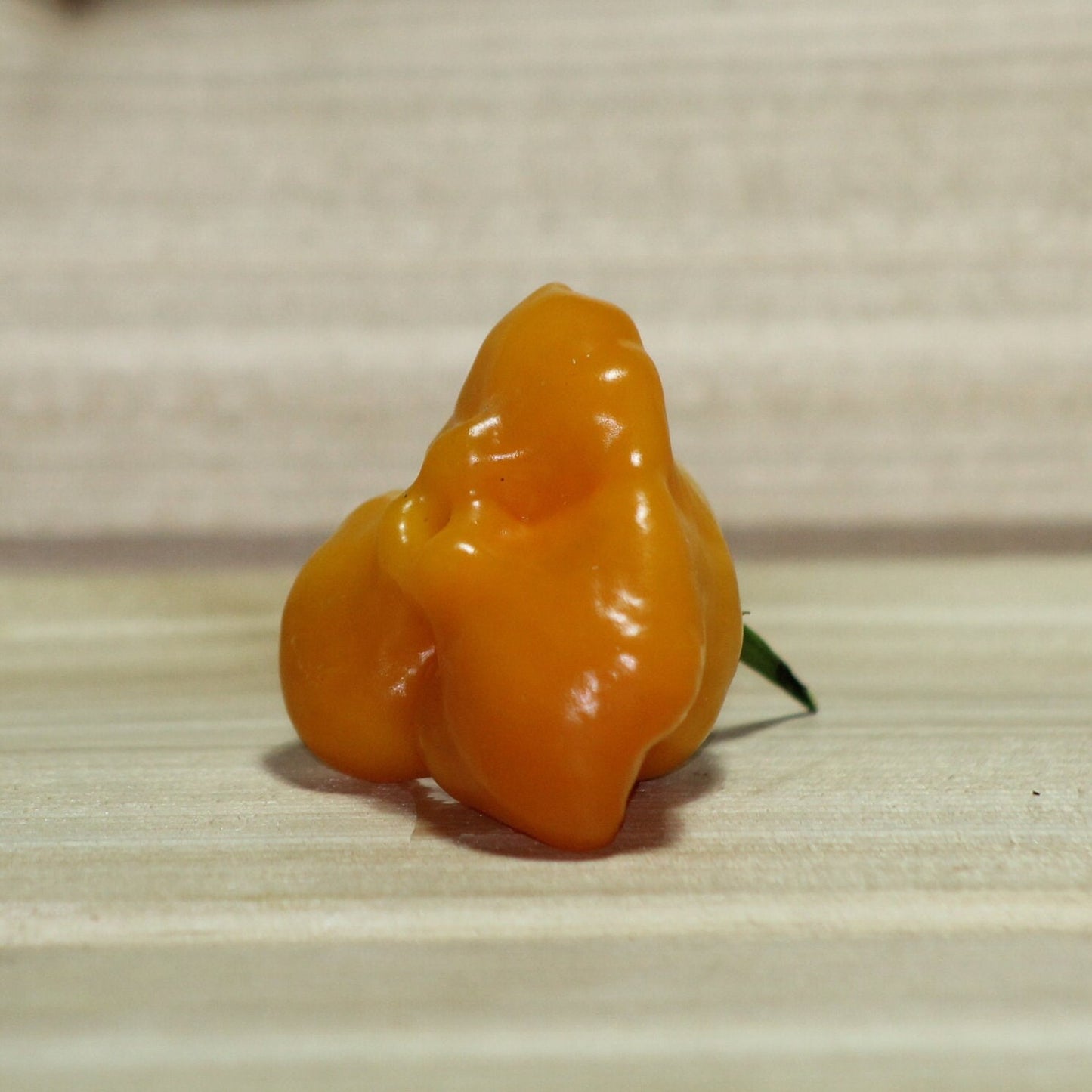 Orange Mad Hatter Pepper Seeds