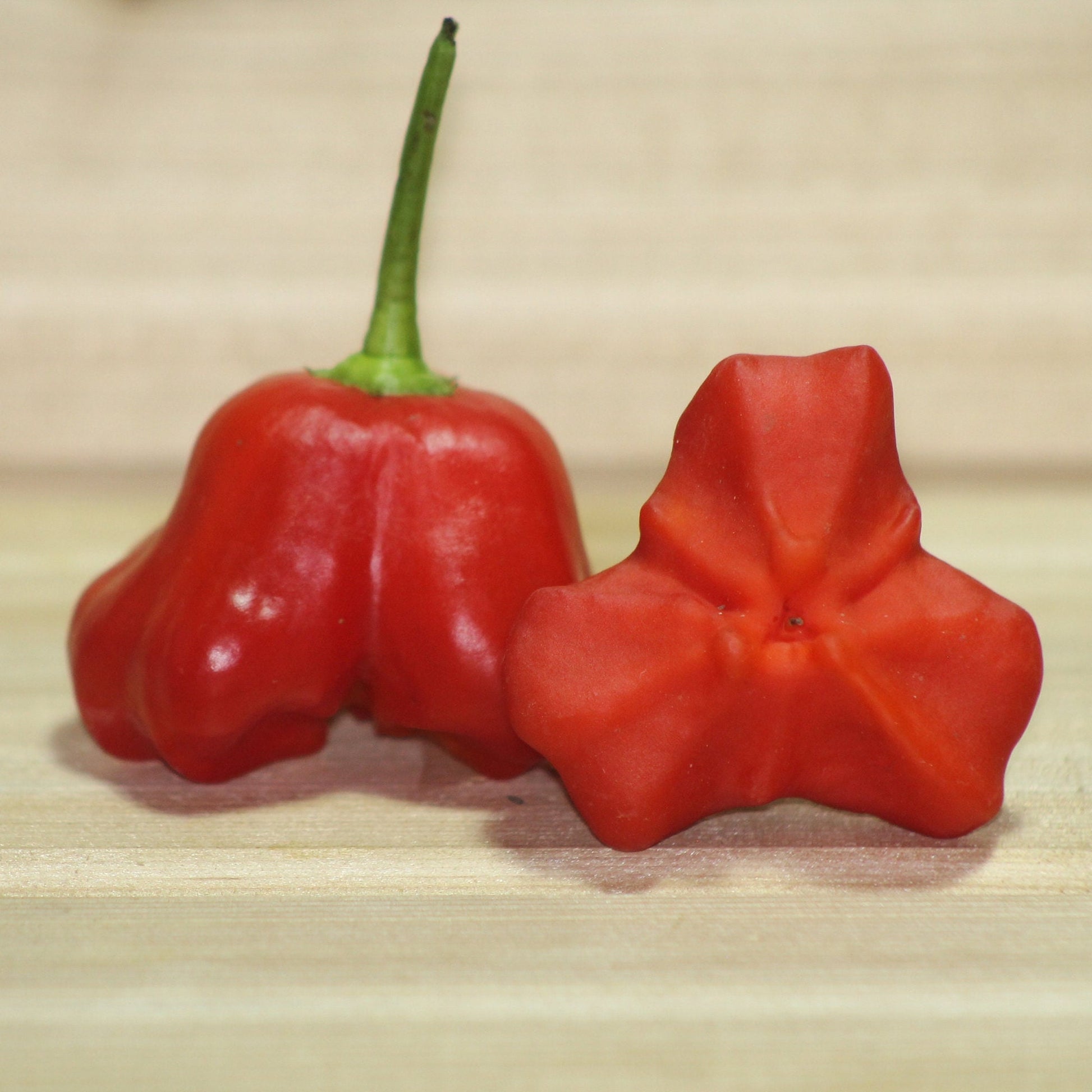 Red Mad Hatter Pepper Seeds , Organic