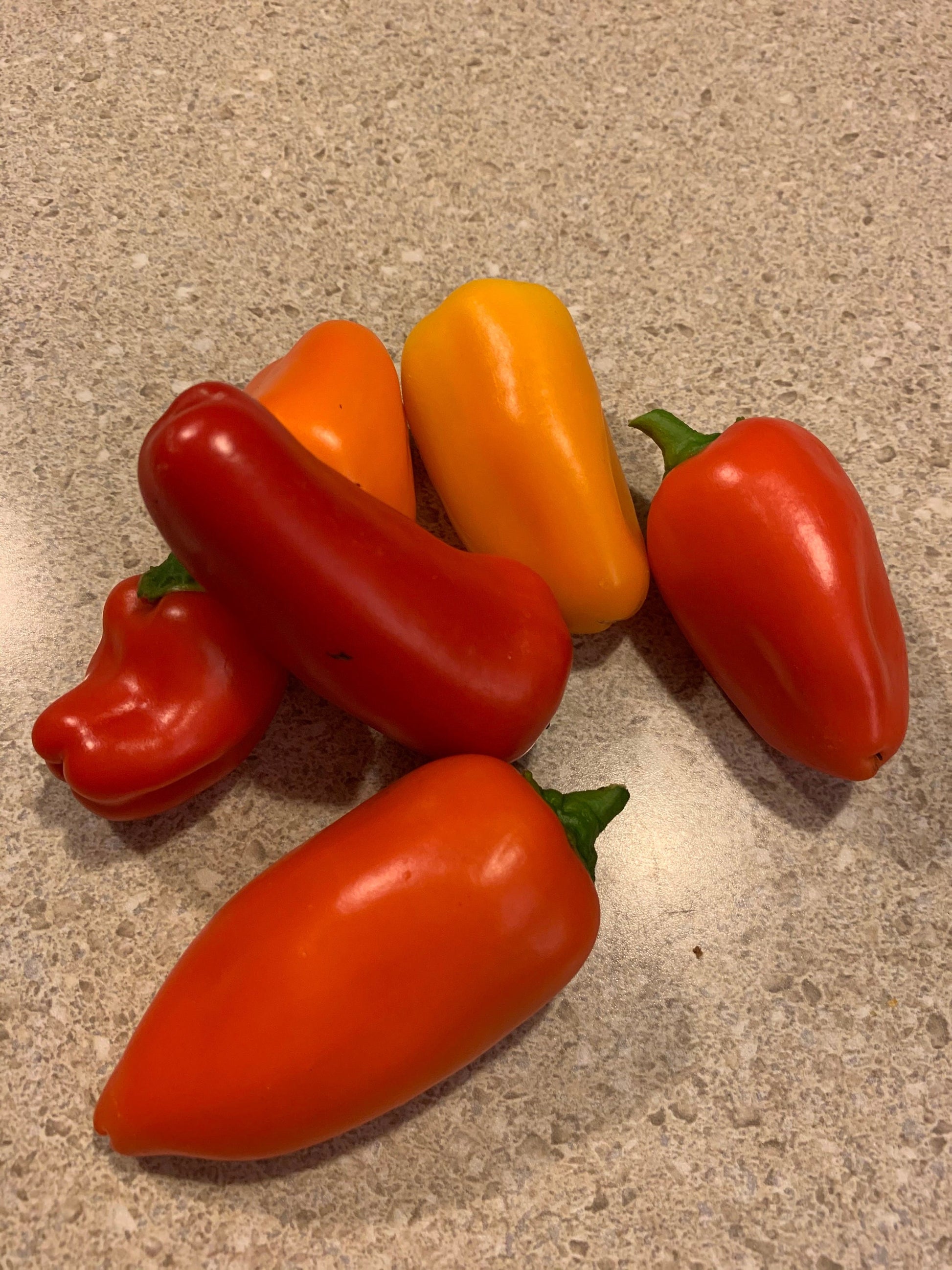 Organic Mini Sweet Pepper Seeds for Vibrant Home Gardening