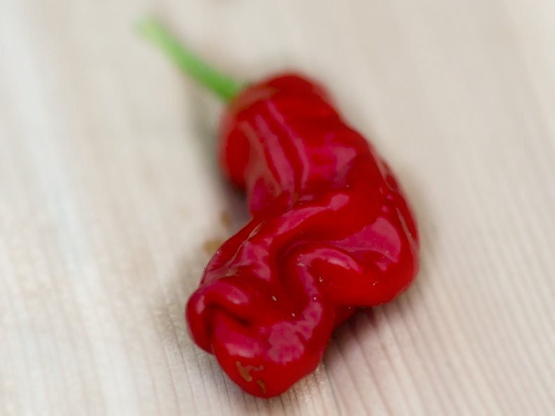 Italian Pepperoncini Pepper Seeds , Organic