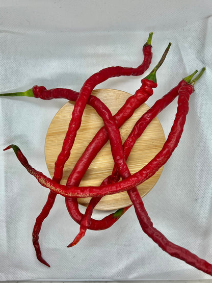 Thunder Mountain Longhorn Pepper Seeds