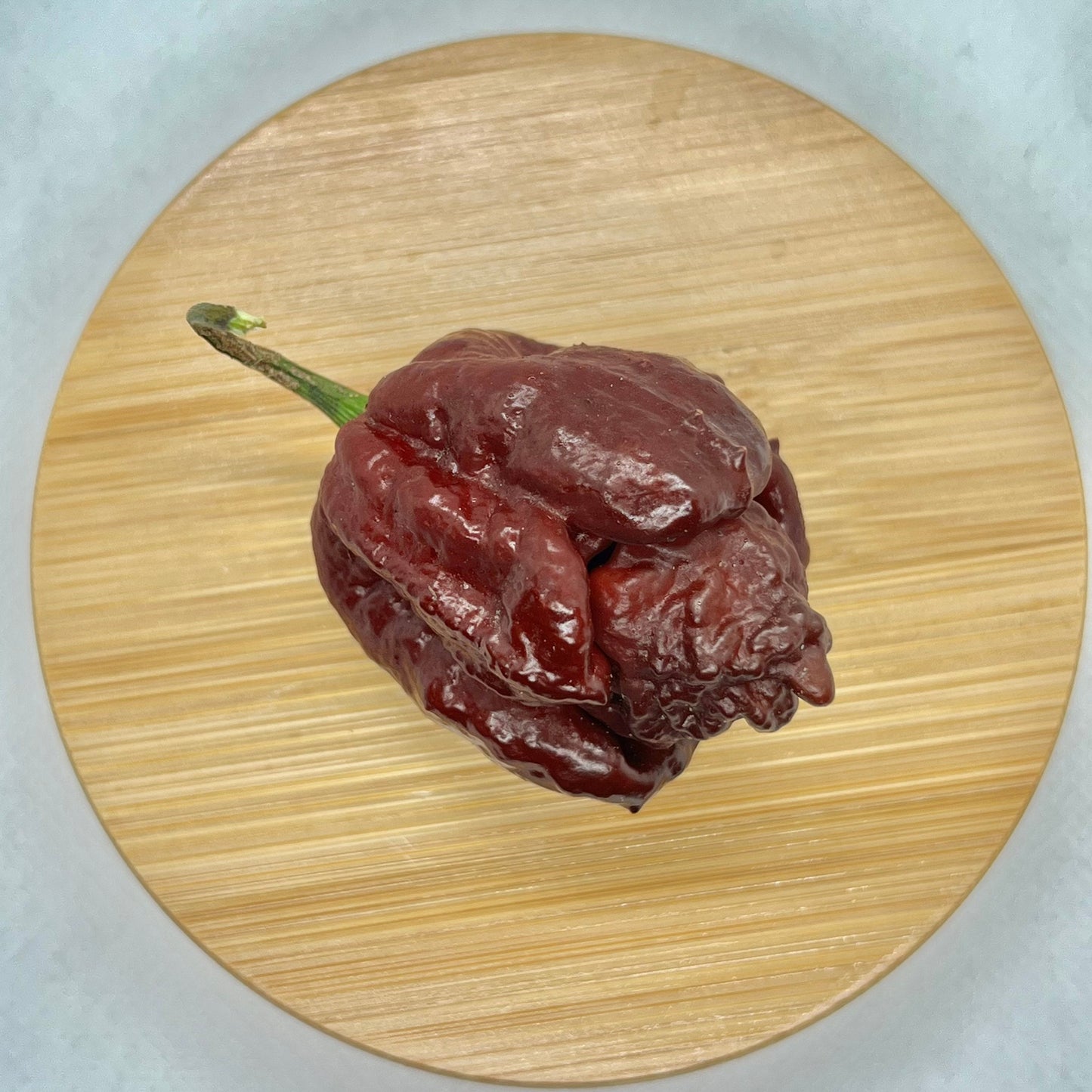 Chocolate Scorpion Seeds Pepper , Organic , SuperHot