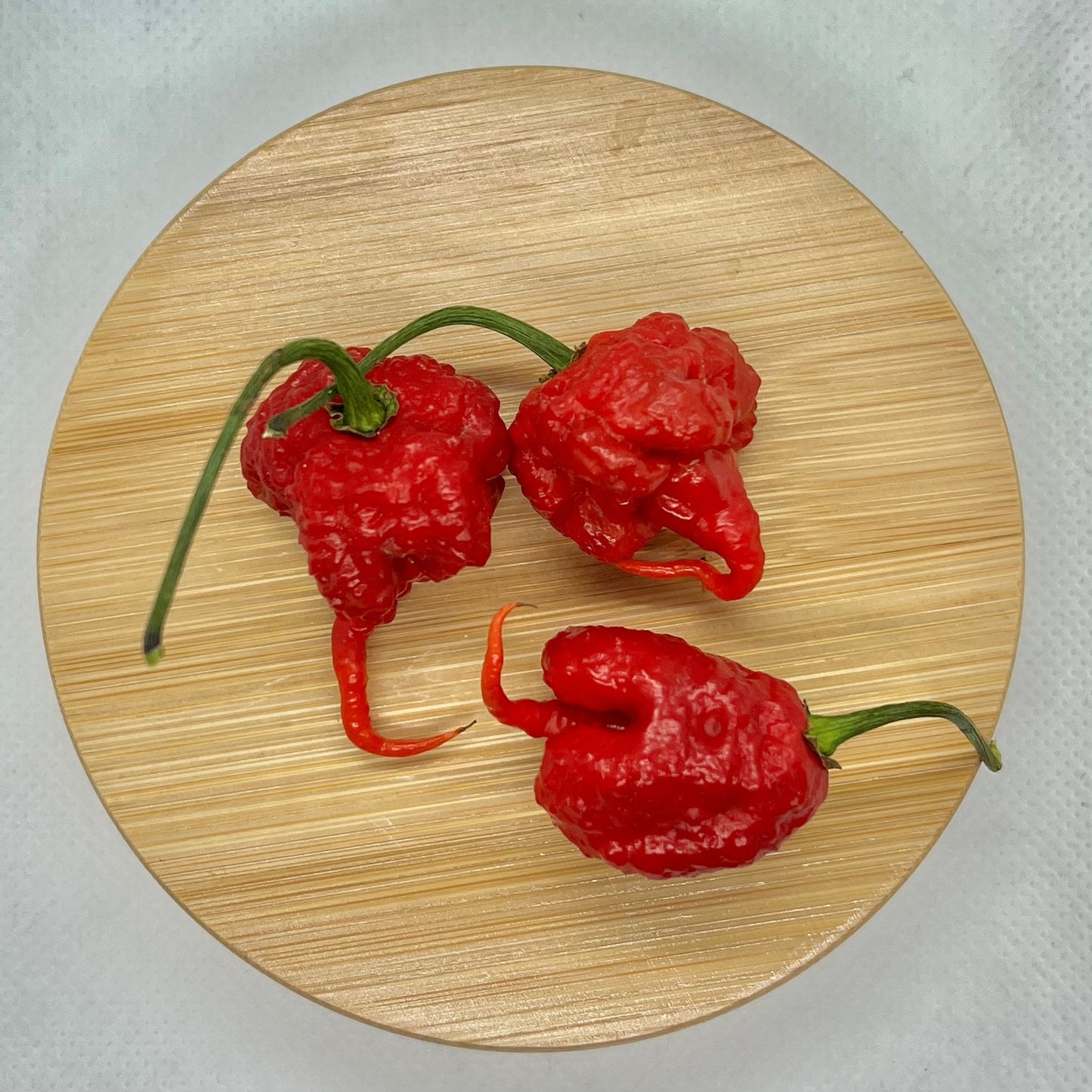 Carolina Reaper Pepper Seeds