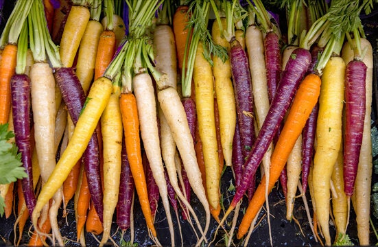 Kaleidoscope Carrot Seeds, Organic