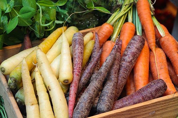 Kaleidoscope Carrot Seeds, Organic