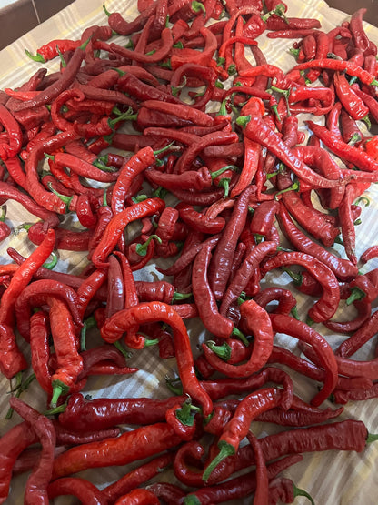 Long Sweet Italian Pepper Seeds , Organic