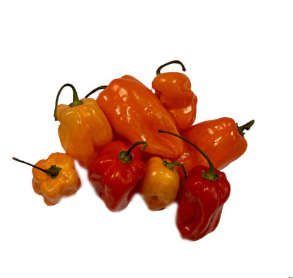 Spicy Red Habanero Pepper Seeds