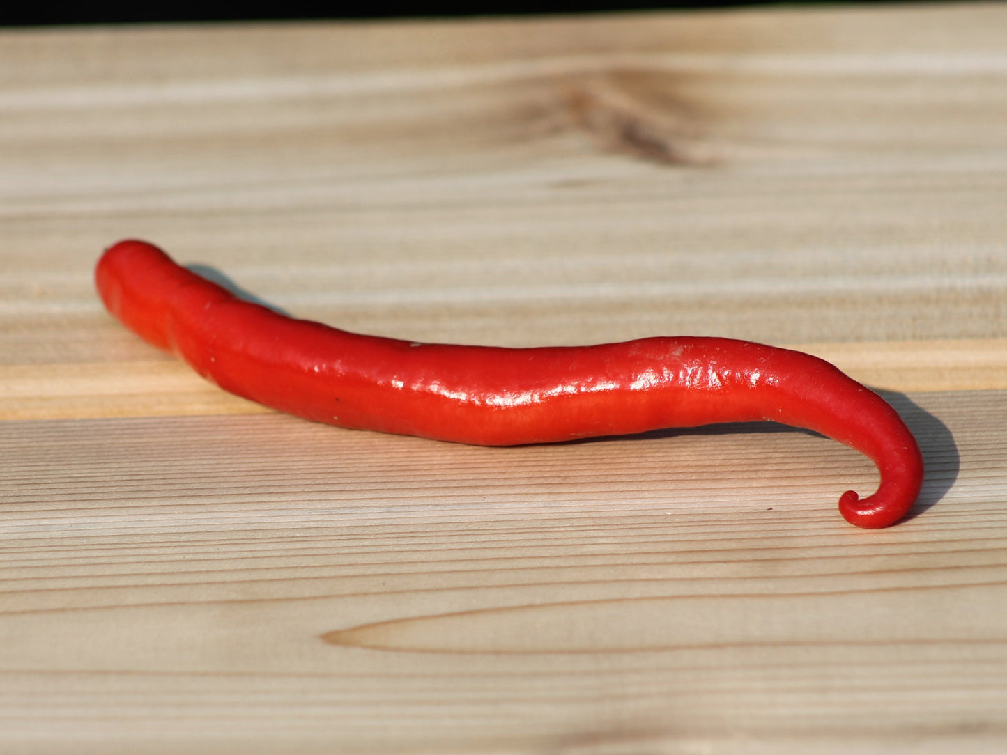 Super Long Cayenne Pepper Seeds